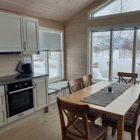 Nedre Lodger Vrådal